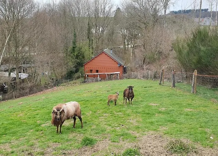 Chalet Les Allores Dohan *